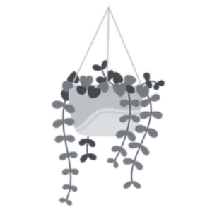 AnyConv.com__5-300x300